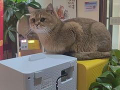-天福棋牌(田林店)