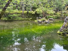 -西芳寺(苔寺)