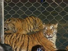 -西安秦岭野生动物园