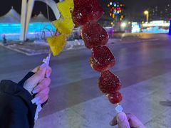 -长春世界雕塑园冰雪艺术天地