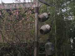 -乌村