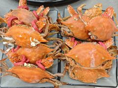 -仙螺岛海鲜自助餐厅(总店)