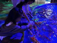 -华夏文旅西安度假区