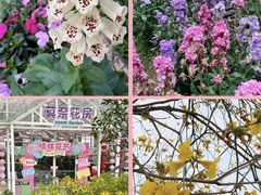 -盈香心动乐园