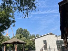 -石家庄市动物园