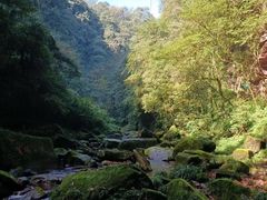 -碧峰峡风景区