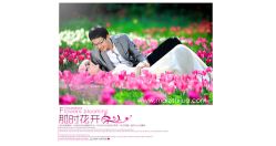 点击看大图 -都市丽人婚纱摄影