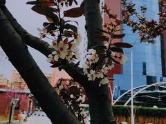 -金宫殿故址