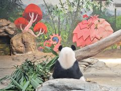 -广州长隆野生动物世界