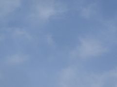 -上海浦江郊野公园-2号停车场