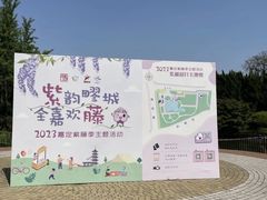 -嘉定紫藤园