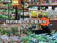 -凯德MALL(望京店)