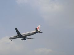 -空港花田景区
