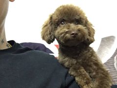-宠福鑫动物医院·动物疾病诊疗中心(天通苑店)