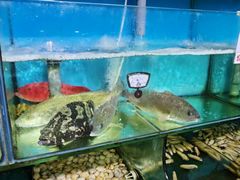 -西湖鱼小海鲜·杭帮菜·农家菜(断桥店)