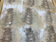 明虾生-官塘鱻鱻鱼生
