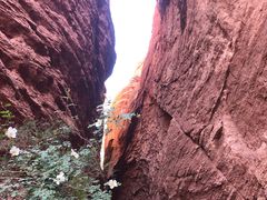 -天山神秘大峡谷