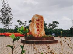 -东寨港红树林旅游区