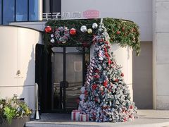 -佐度王子扒房(天鹅湖店)