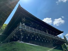 -奈良公园