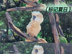 -杭州野生动物世界