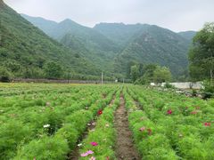 -白河湾生态旅游一条川