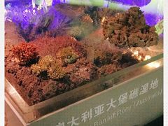 -中国湿地博物馆