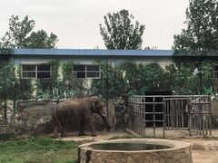 -西安秦岭野生动物园