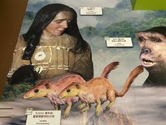 -香港科学馆