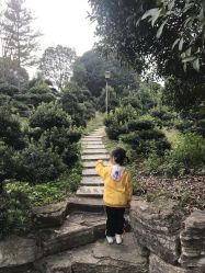 -长沙小顽国景区