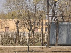 -圣露庄园·露营·烤肉·亲子