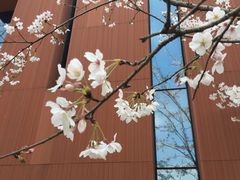 -御花园·粤菜·海鲜火锅(中山公园店)