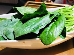 -海底捞火锅(亲子主题北金鹰店)