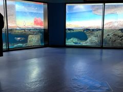 -海合安武汉极地海洋公园