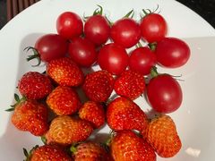 -随和家宴·川菜(杜甫草堂青羊宫店)