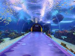 -上海海昌海洋公园