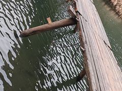 -上坦村