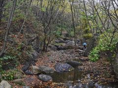 -云岫谷游猎自然风景区