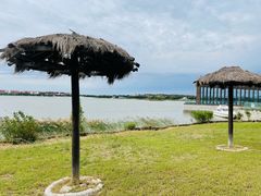 -武清南湖绿博园