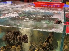 -阿伟海鲜楼·福建菜(延寿店)