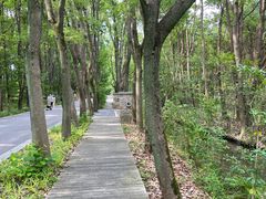 -同里国家湿地公园