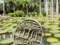 -中国科学院西双版纳热带植物园