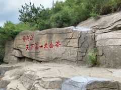 -黄花溪