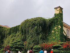 -府河摄影公园