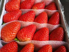 -果蔬好生活超市(乐堤港店)