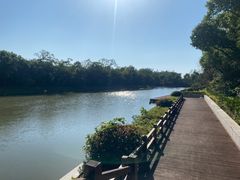 -上海海湾国家森林公园