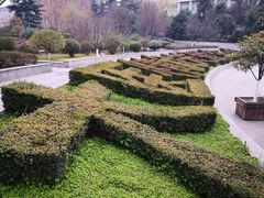 -西京医院