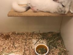 -龙猫仔乐园(惠福东路店)