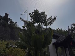 -南沙蒲洲花园