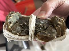 -阳澄湖大闸蟹·琼灵阁牌品牌连锁(吴中总店)